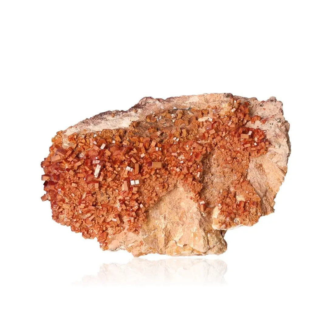 Vanadinite Druze mineral with vibrant red-orange crystal formations, ideal for focus and creativity, displayed against a white background.