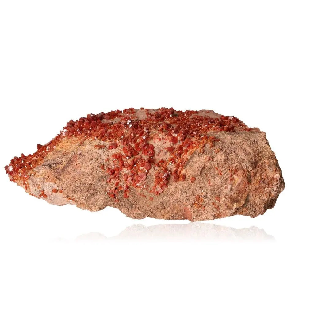 Vanadinite Druze mineral with vibrant red-orange crystals, ideal for focus and creativity seekers, collectors, and lovers of unique formations.
