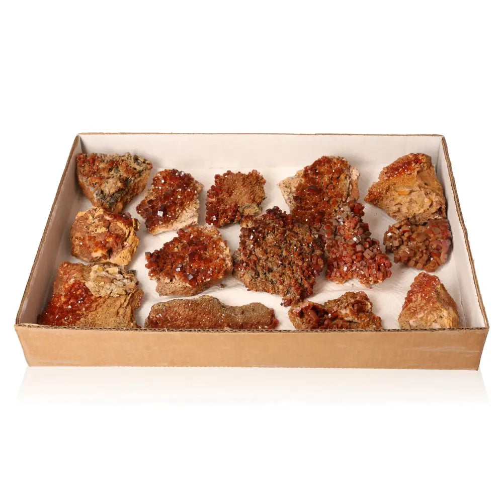 Box of vibrant red-orange vanadinite small druzes showcasing unique crystal formations for collectors and creatives seeking focus and energy.
