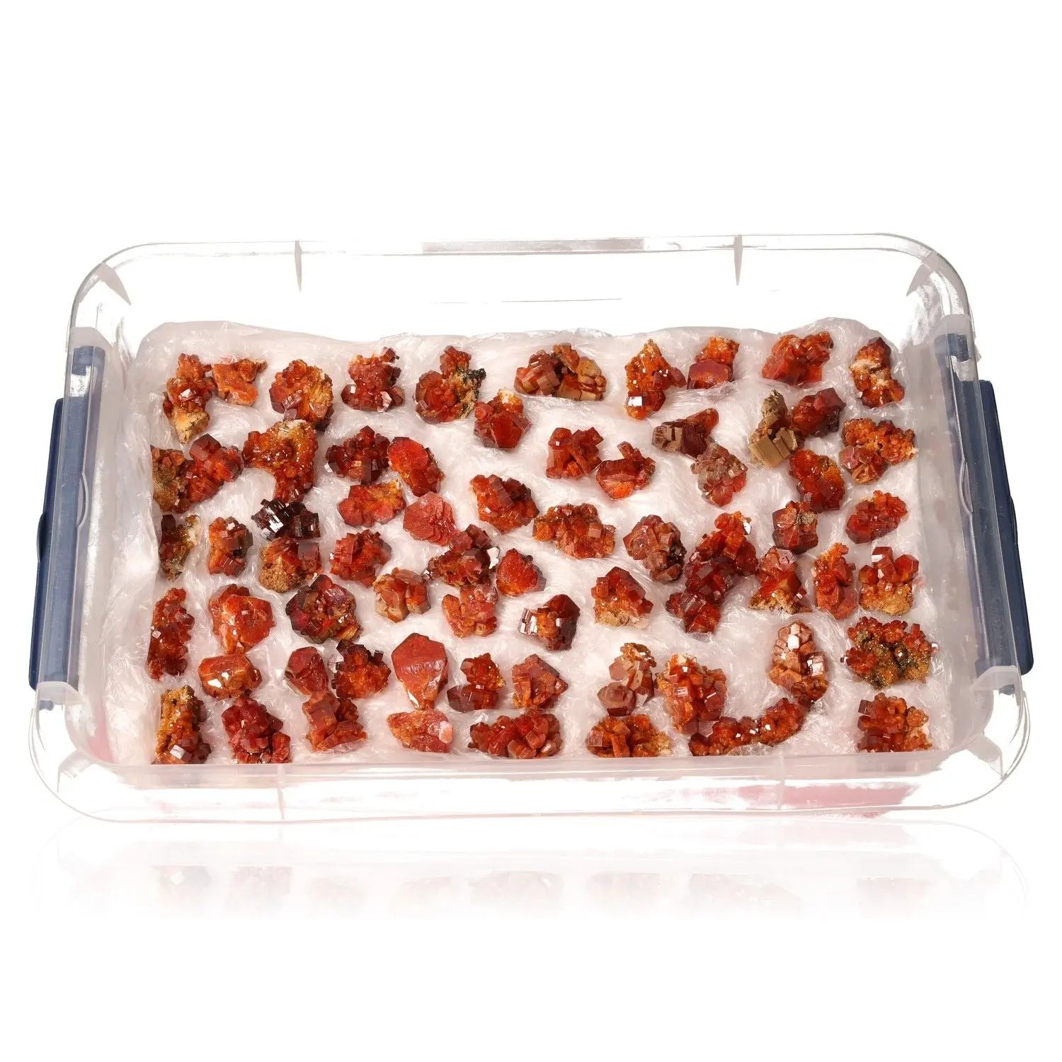 Vanadinite small druzes collection in clear box, vibrant red crystals for focus and creativity, ideal for collectors and creatives.