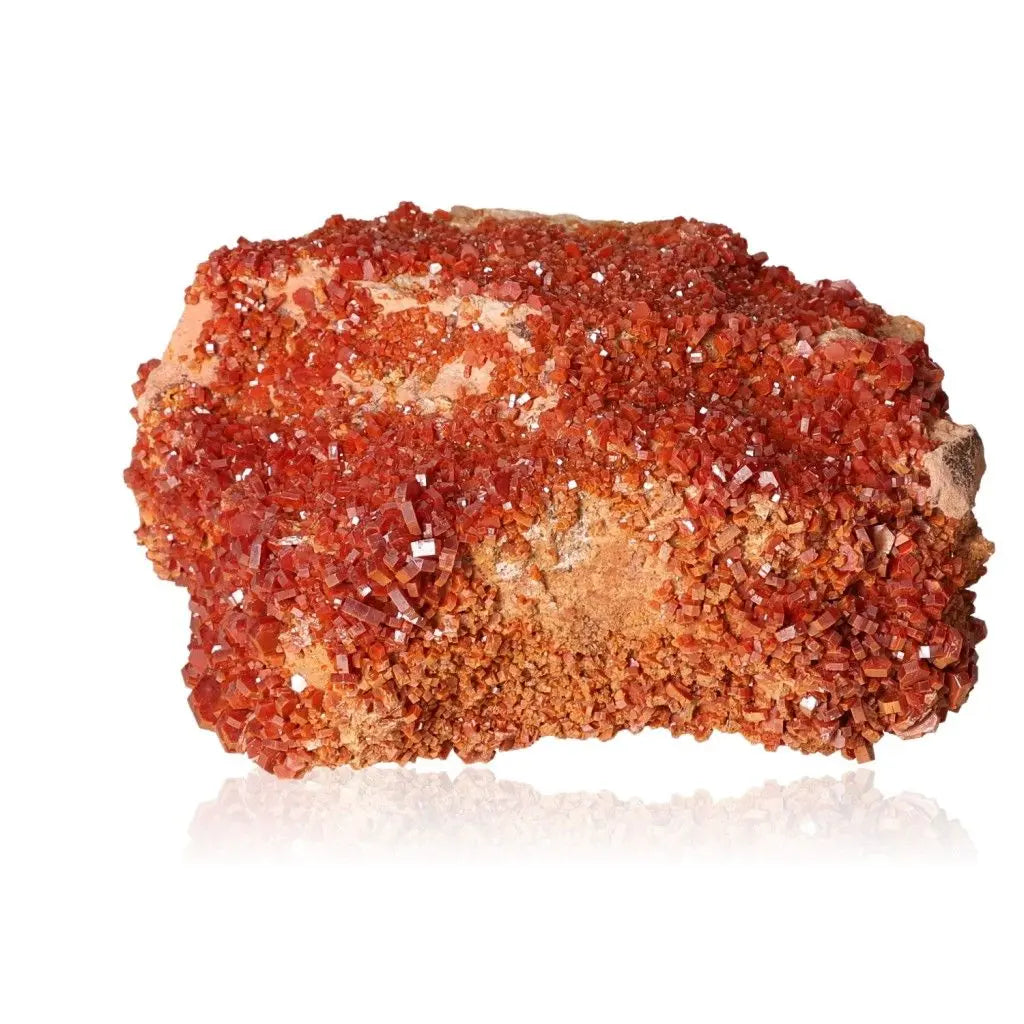 Vibrant red-orange Vanadinite crystal cluster showcasing its unique druse formations, ideal for collectors seeking focus and creativity.