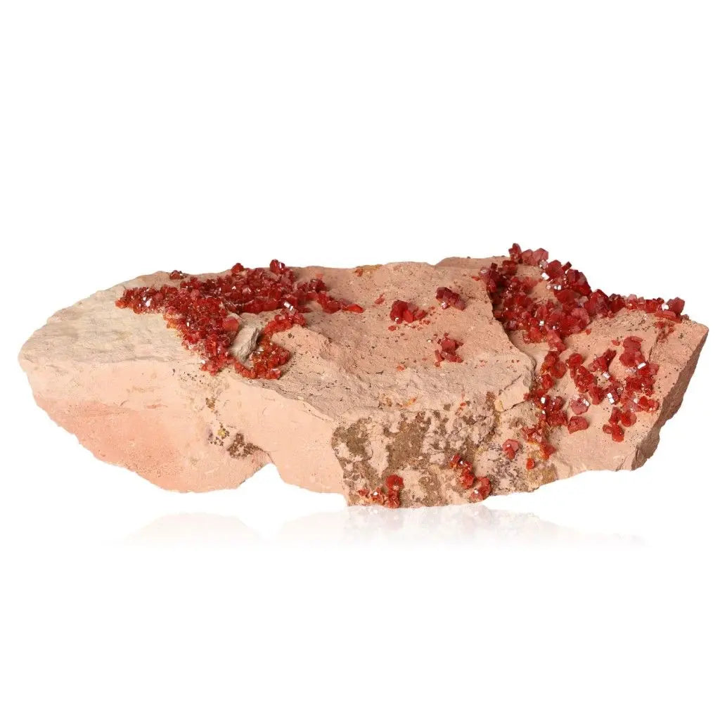 Vanadinite druze with vibrant red crystals on a beige rock surface, showcasing unique formations for collectors and creatives.