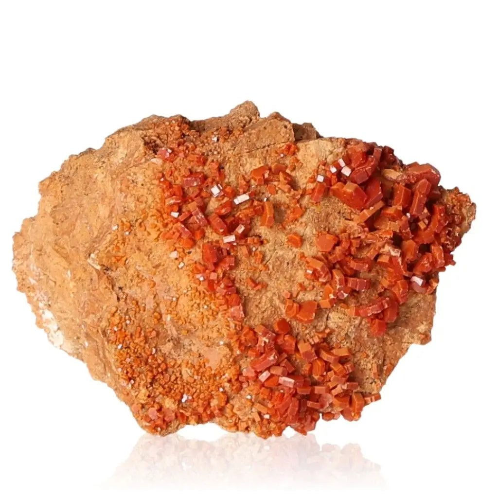 Vibrant Vanadinite druze with striking red-orange crystals, ideal for collectors and creatives seeking focus and grounding energy.