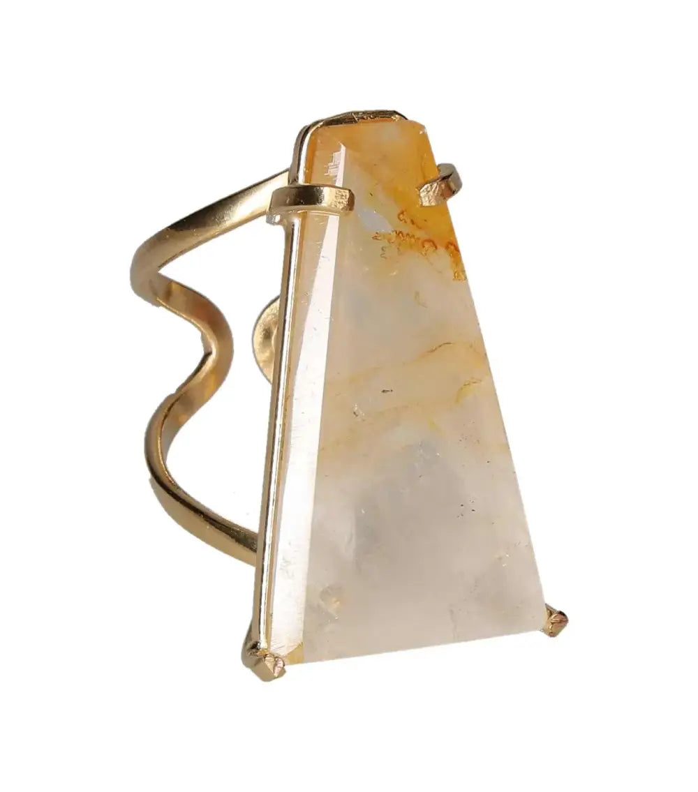 orbitvu|type:image2d