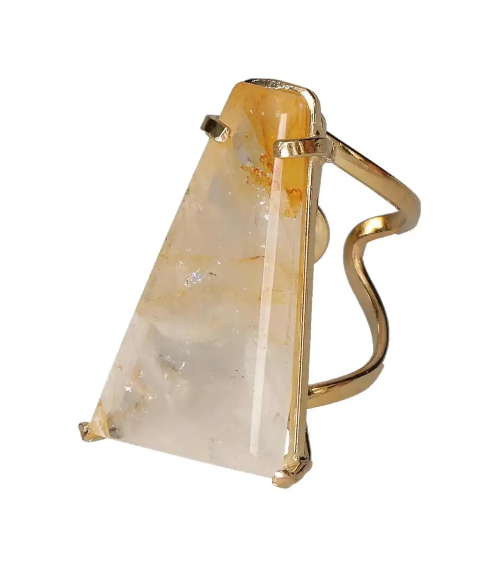 orbitvu|type:image2d