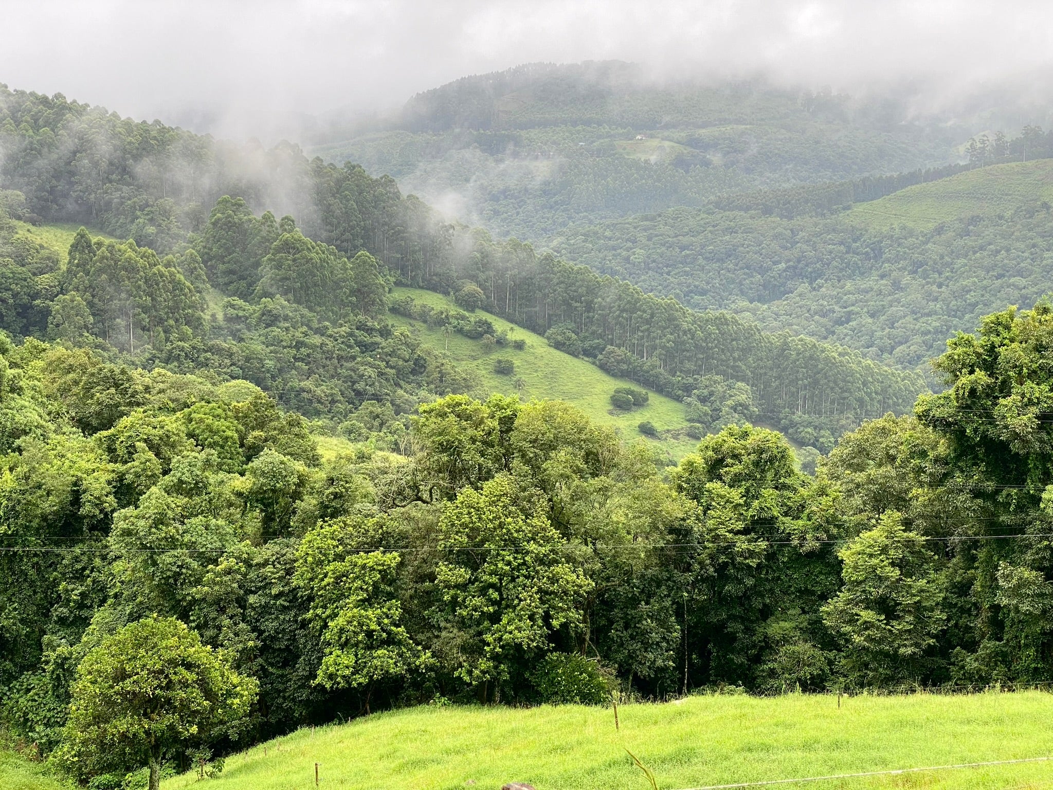 Discovering the Purple Heart of Brazil in Ametista do Sul