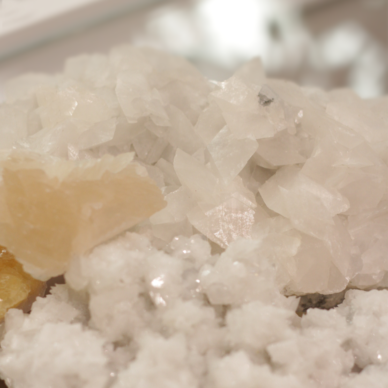 Red calcite crystal formation showcasing vibrant color and unique structure, perfect for collectors and home decor enhancements.