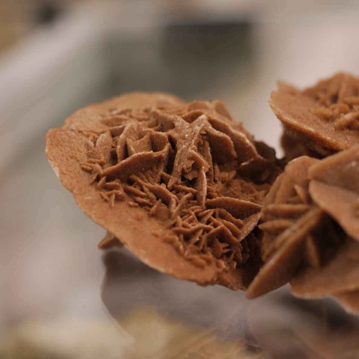 Desert Rose mineral resembling delicate petals, known for its calming and grounding energy, enhancing clarity and emotional balance.