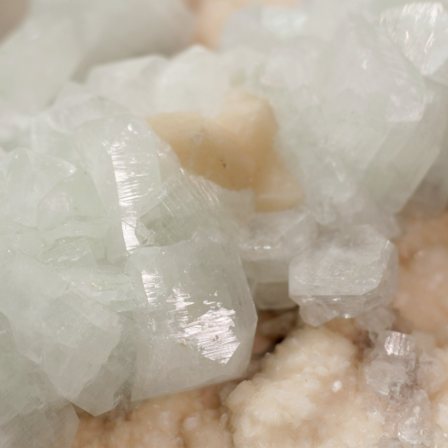 Sparkling Apophyllite crystal with peach accents on a white matrix, showcasing clarity and serene energy for meditation and spiritual growth.