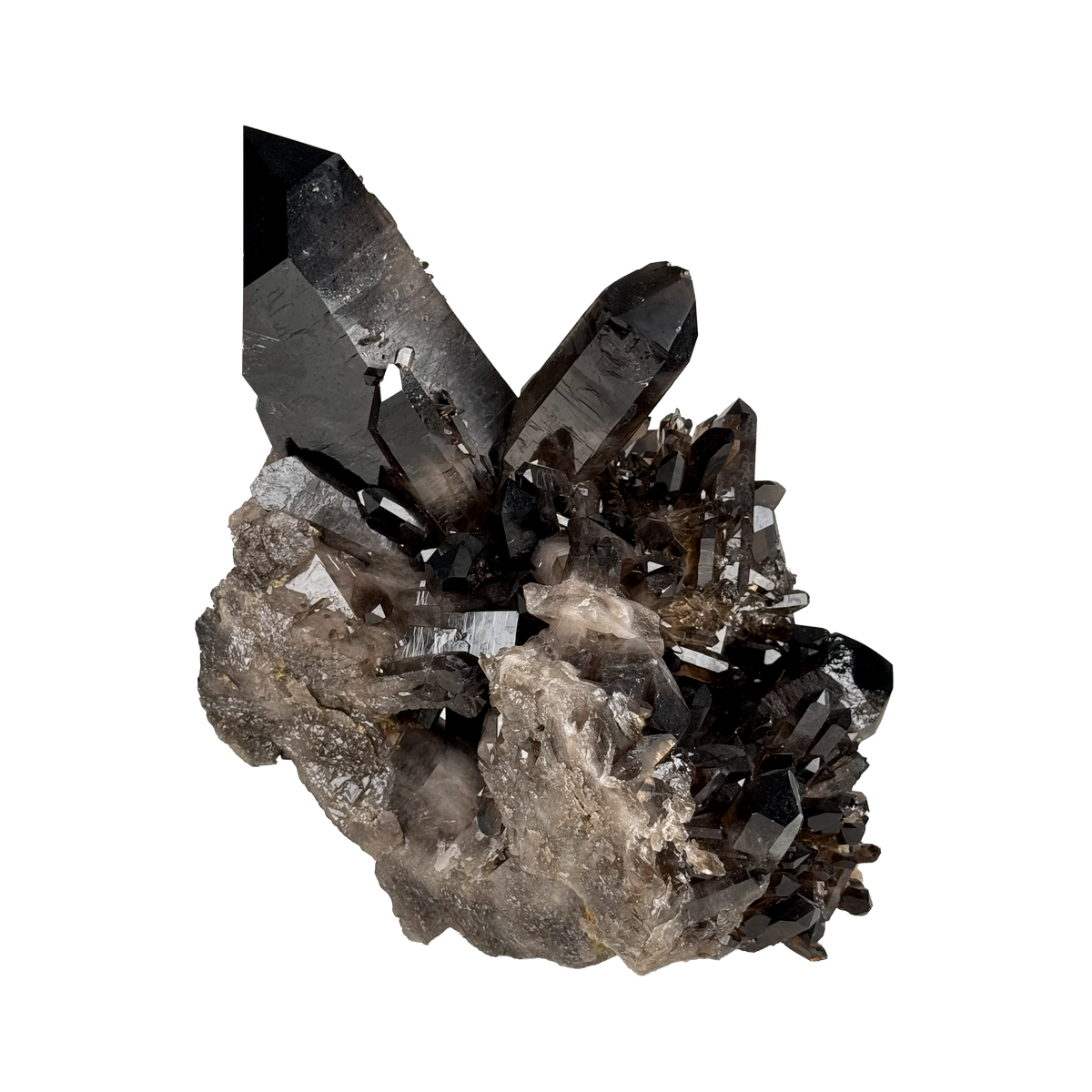 Rough Smoky Quartz 10000659