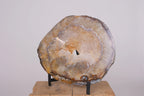 Thick Agate Slabs Sylvia Crystals Sp. z o.o.