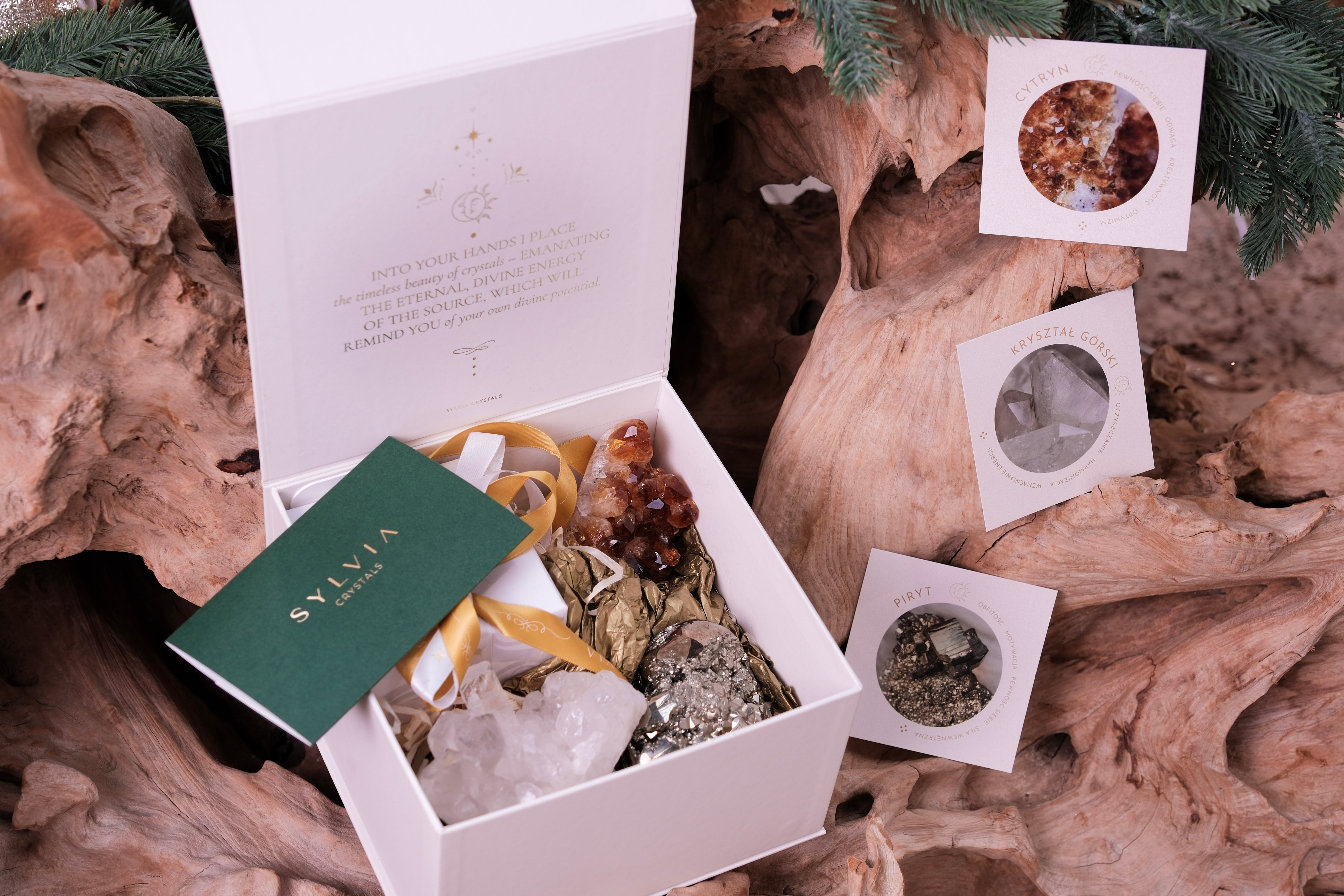 Wealth and Abundance Deluxe Christmas Box with Pyrite Heart, Citrine, White Quartz, candle, and Sylvia Crystals packaging.