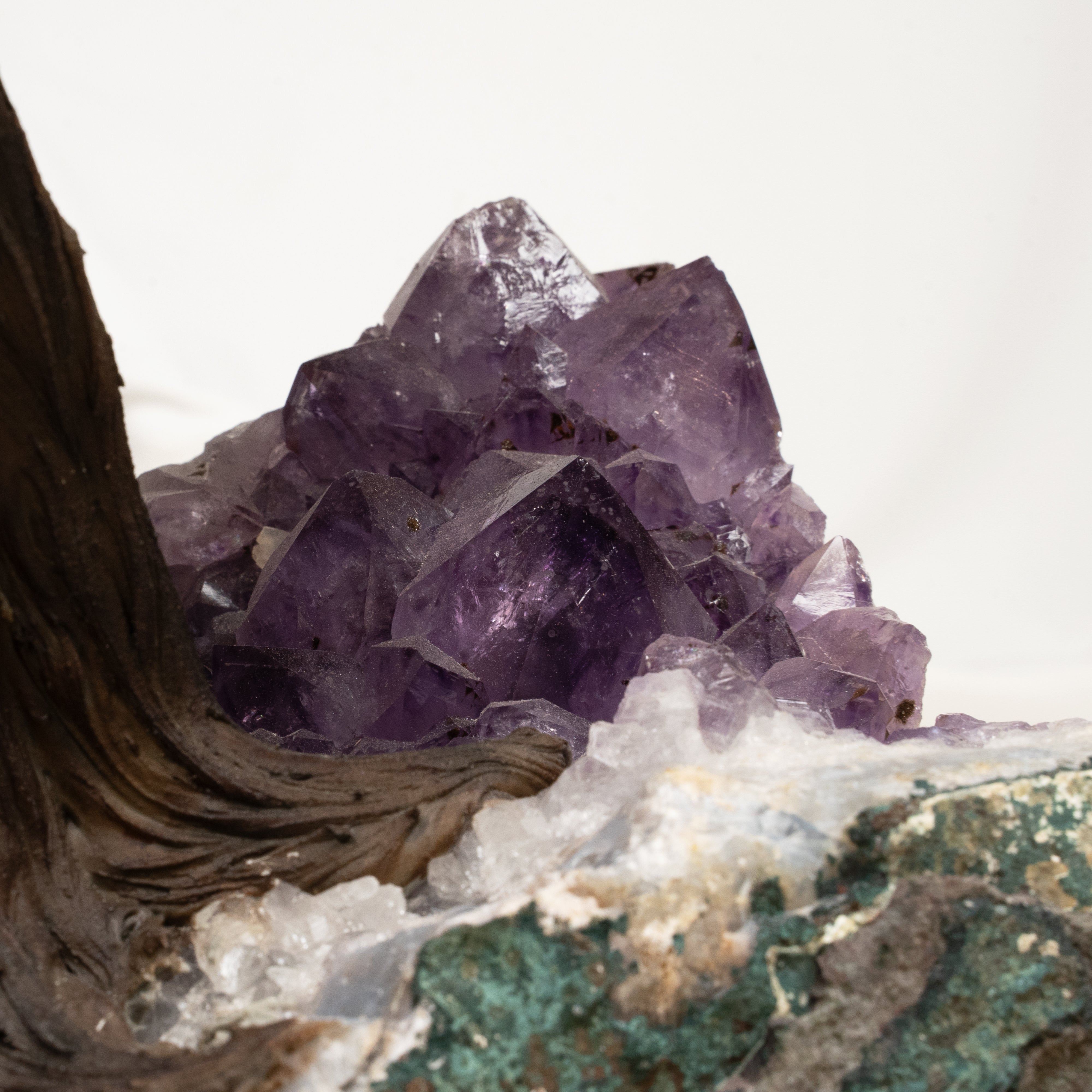 Grubo ametistovo drvo 65 cm