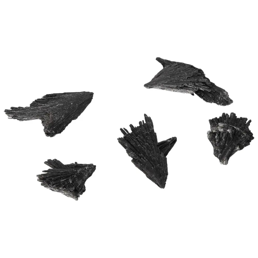 Black Kyanite S gemstones from Sylvia Crystals, perfect for meditation and introspection, showcasing natural texture and detail.