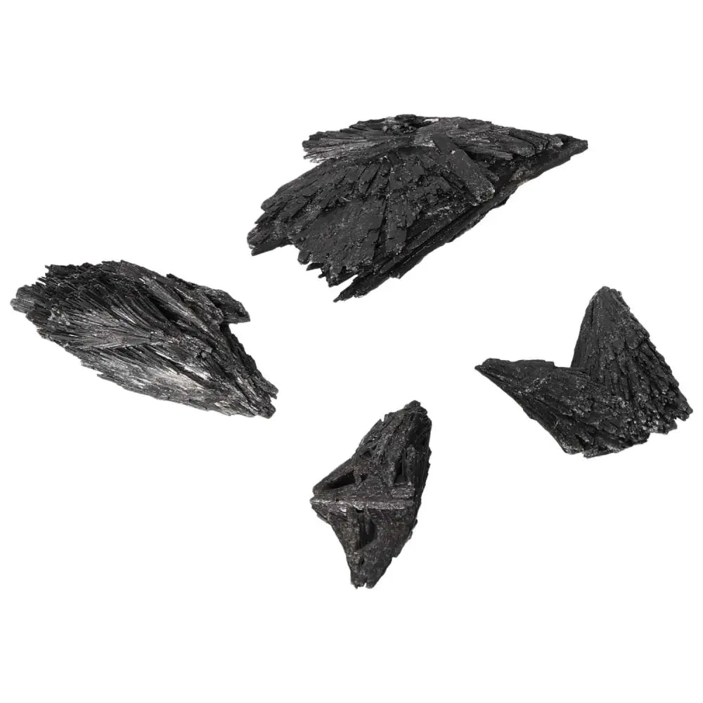 Black Kyanite M crystals from Sylvia Crystals for spiritual insight and clarity