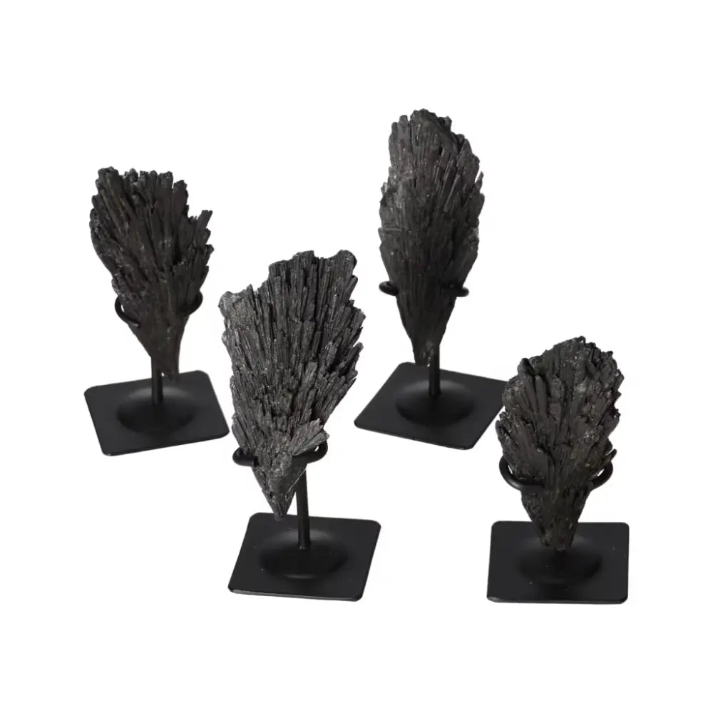 Display of exquisite Black Kyanite crystals on metal stands, highlighting elegance and spiritual clarity, from Sylvia Crystals.