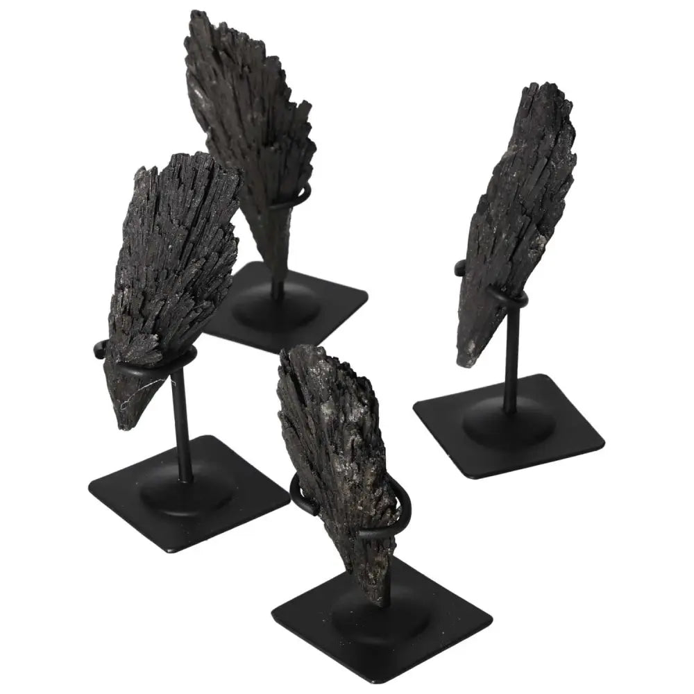 Black Kyanite crystals on metal stands, elegant handpicked pieces from Sylvia Crystals, promoting introspection and spiritual clarity.
