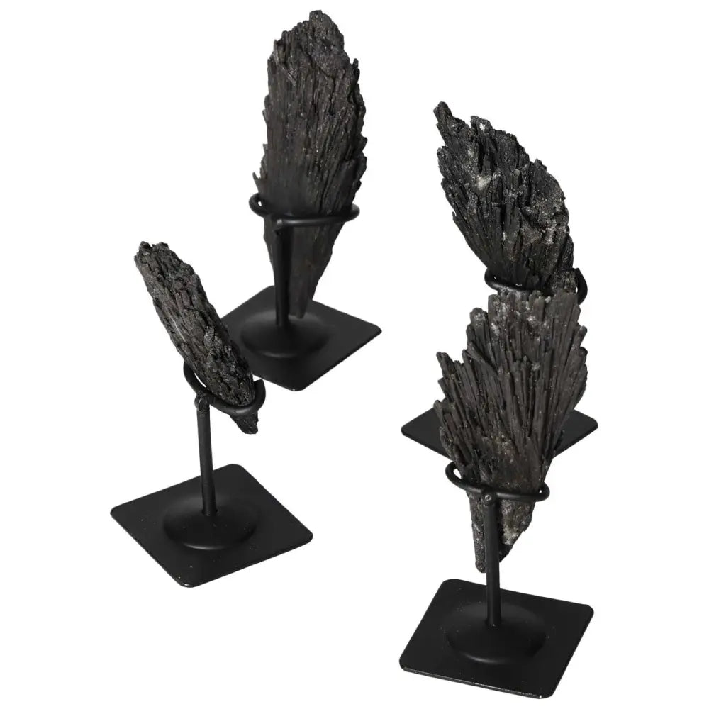 Black Kyanite crystals on metal stands, showcasing elegance and spiritual presence. Ideal for deep introspection and clarity.