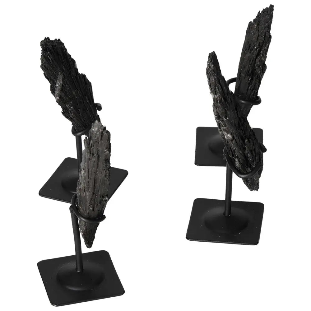 Black Kyanite crystals on metal stands, promoting clarity and introspection, from Sylvia Crystals' premium selection.