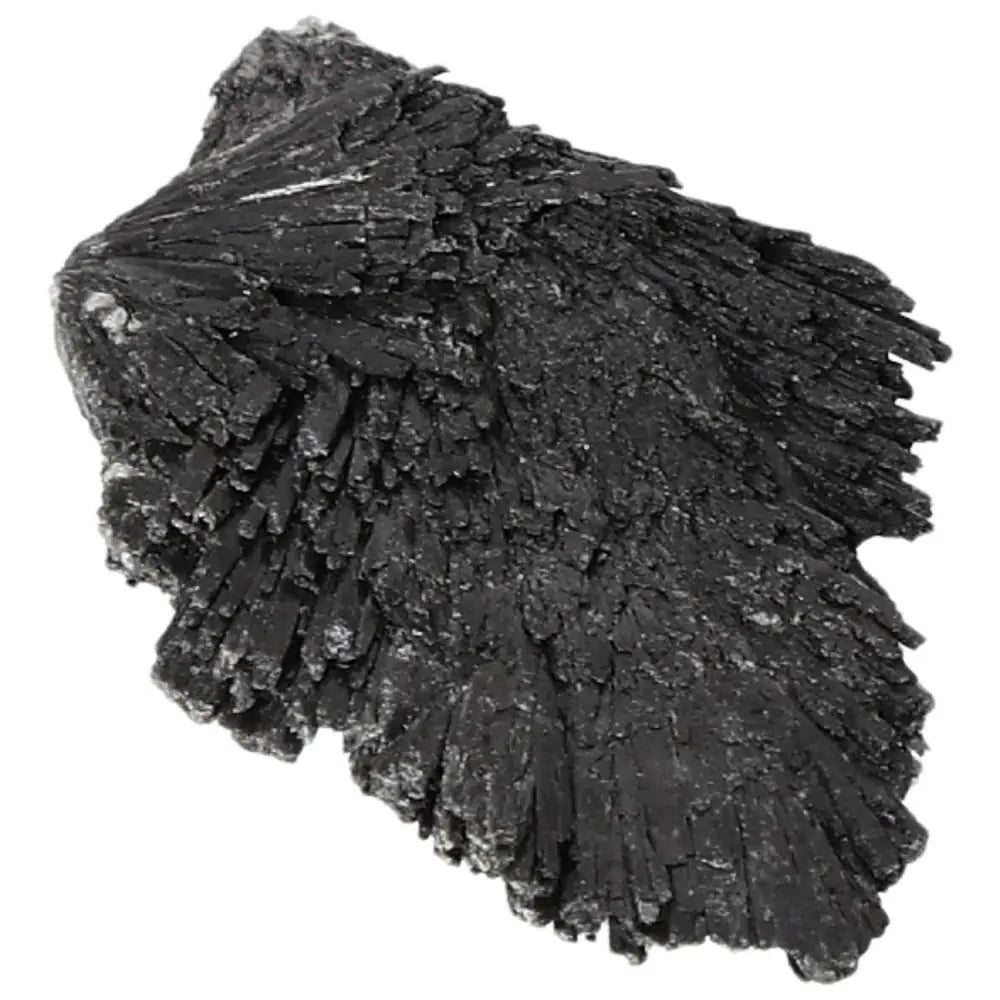 Black Kyanite crystal from Sylvia Crystals, known for promoting clarity and harmony in meditation practice.