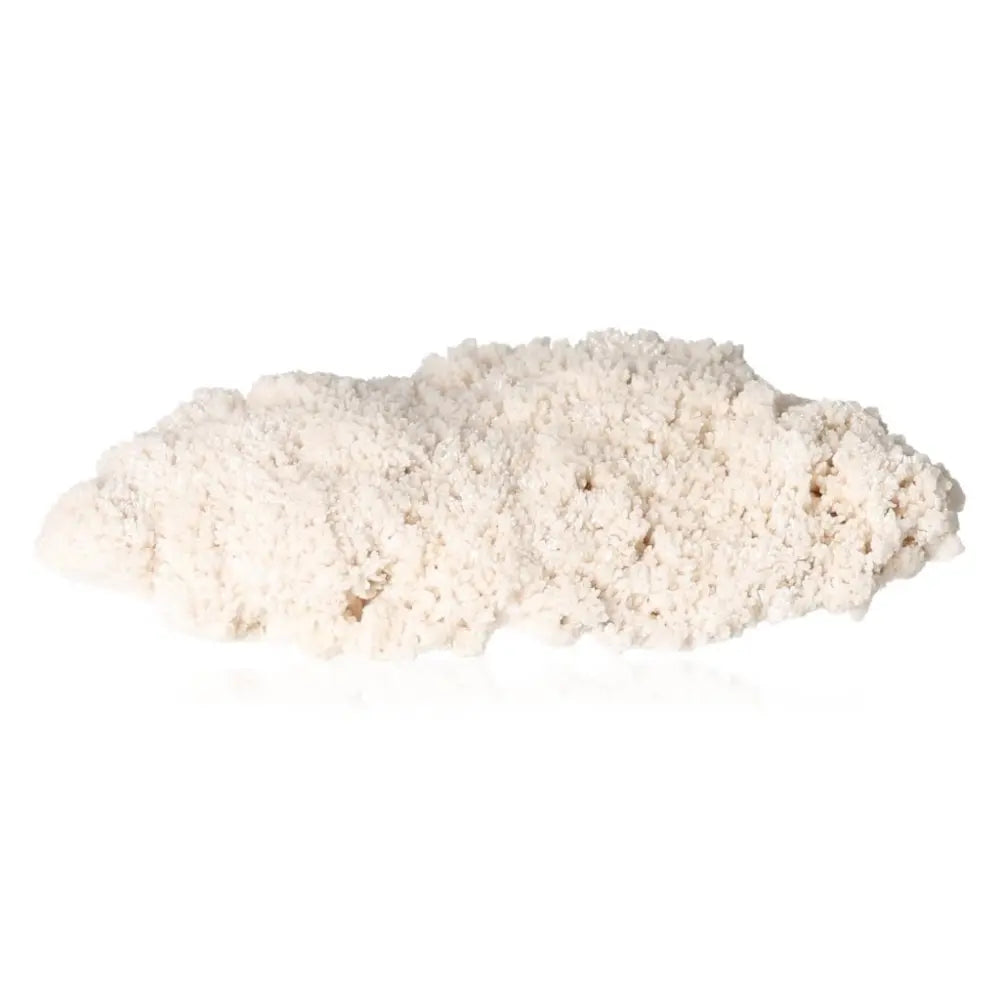 White porous rock texture on a plain background, illustrating unique surface details.