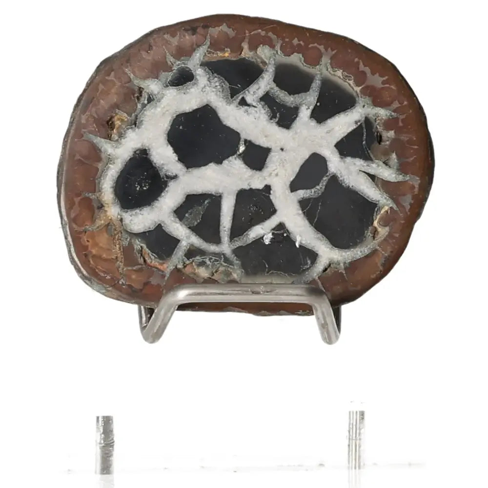 Polished Septarian "Dragon Stone" with unique crackled pattern on display stand, symbolizing power and endurance.
