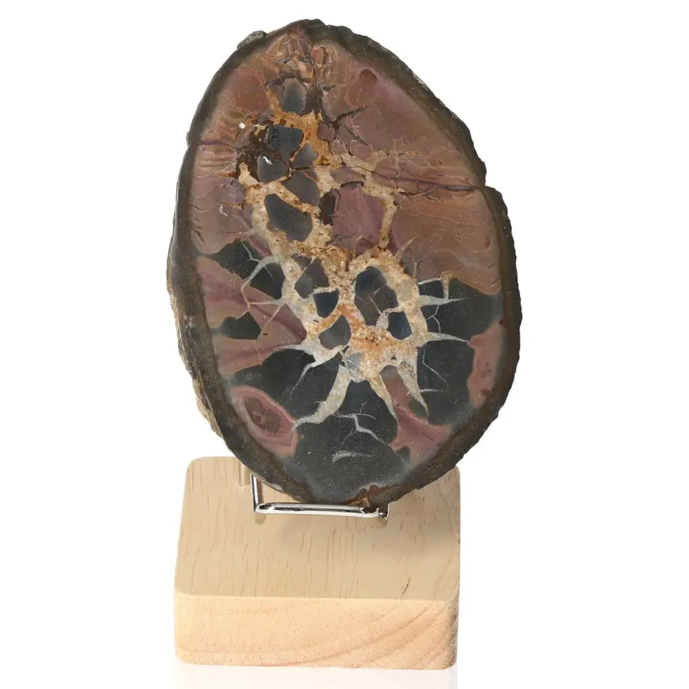 Septarian "Dragon Stone" mineral specimen on wooden stand, showcasing unique patterns and rich symbolism of power and endurance.