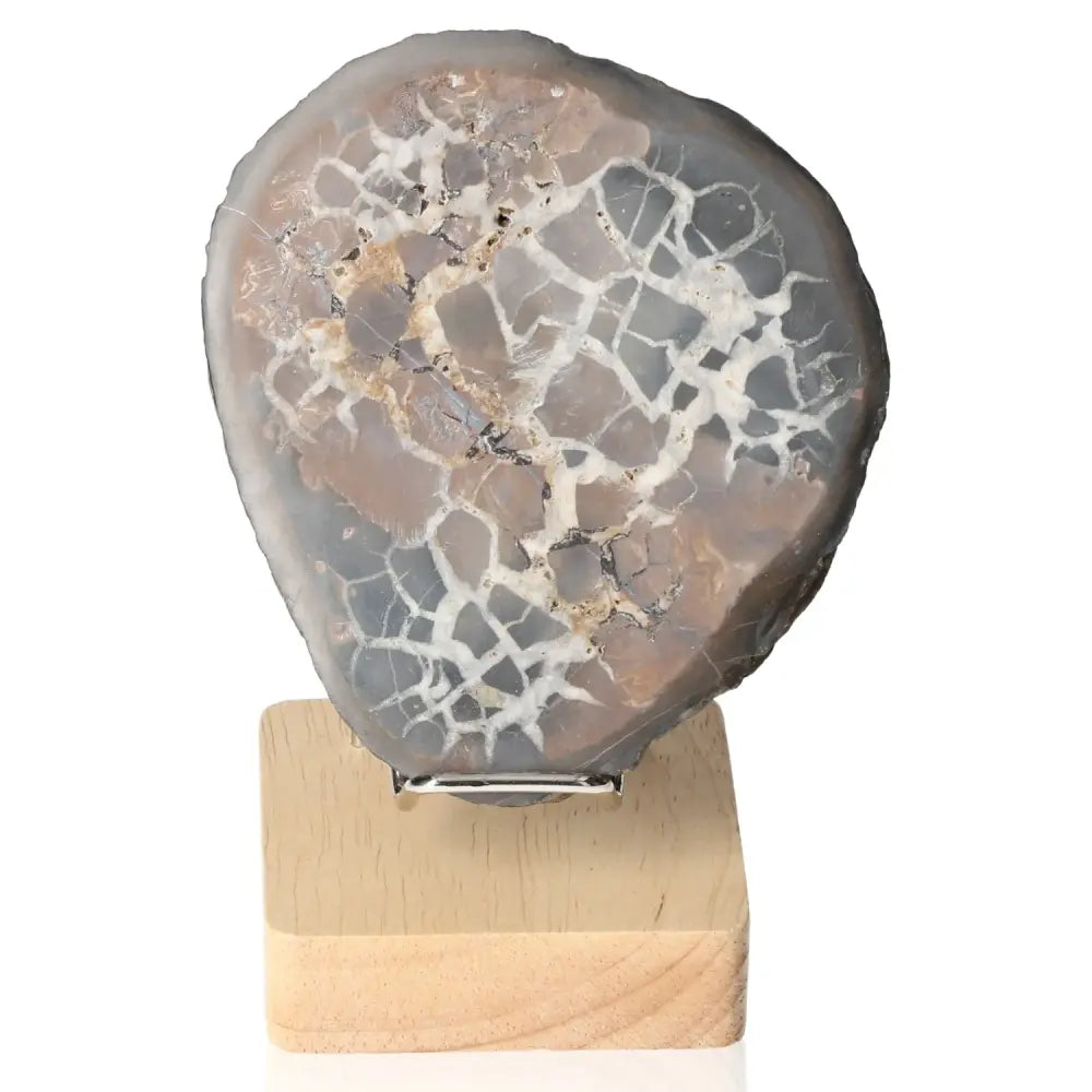 Polished Septarian "Dragon Stone" on wooden stand, showcasing unique mineral patterns and rich symbolism of power and endurance.