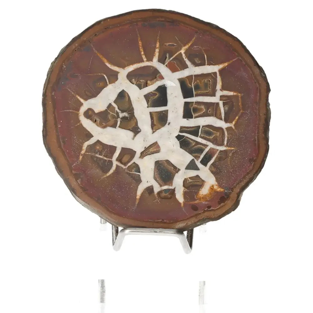 Septarian stone slice with intricate patterns, known as Dragon Stone, symbolizing power and endurance.