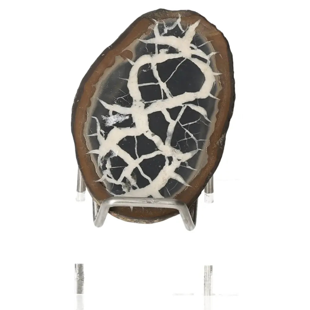 Polished Septarian "Dragon Stone" on stand, showcasing unique cracked design and rich symbolism of power and endurance.