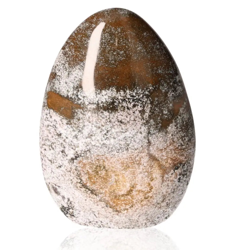 Ocean Jasper Free Form crystal promoting joy, positivity, and emotional balance with unique patterns and soothing energy.