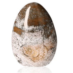 Ocean Jasper Free Form crystal promoting joy, positivity, and emotional balance with unique patterns and soothing energy.