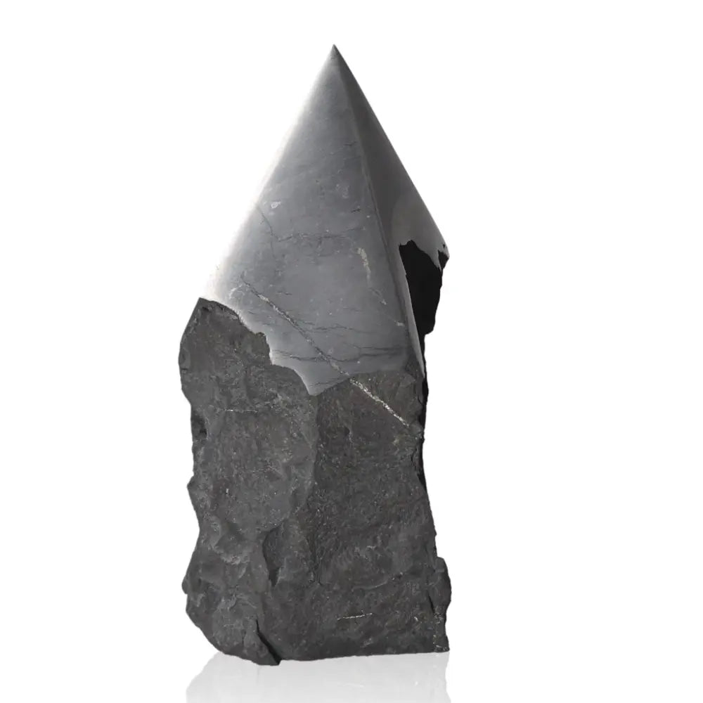 Shungite Nature 12 cm crystal, sourced from Sylvia Crystals, showcasing its protective and healing properties in a sleek, polished form.