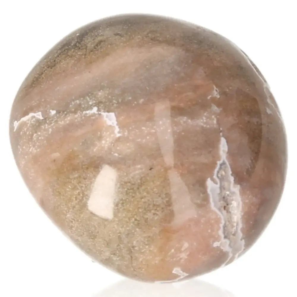 Tumbled petrified wood stone with earthy colors, symbolizing grounding and ancient wisdom, for stability and personal growth.