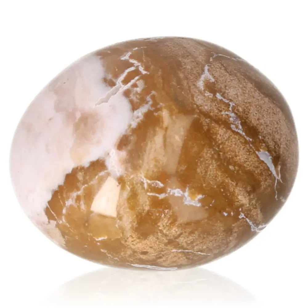 Tumbled petrified wood stone with earthy colors, symbolizing ancient wisdom, grounding, and Root Chakra energy, promoting balance and growth.