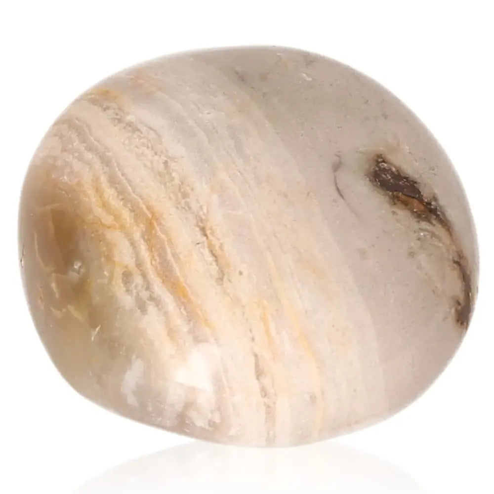 Tumbled Petrified Wood with earthy colors and wood-like patterns symbolizing grounding, stability, and ancient wisdom.