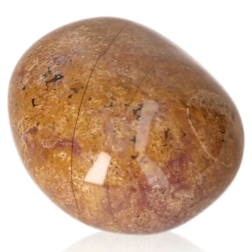 Tumbled Petrified Wood with earthy colors symbolizing grounding, activating the Root Chakra for stability and personal growth.