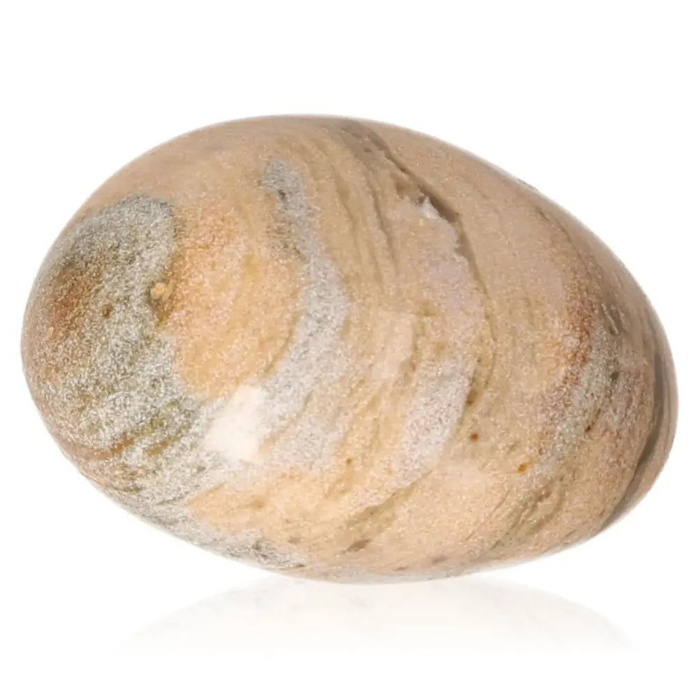 Tumbled Petrified Wood stone with earthy tones, symbolizing grounding, stability, and ancient wisdom, activating the Root Chakra.