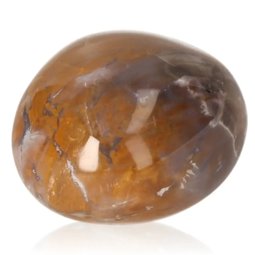 Tumbled Petrified Wood with earthy colors, grounding energy, activates Root Chakra for stability and personal growth.