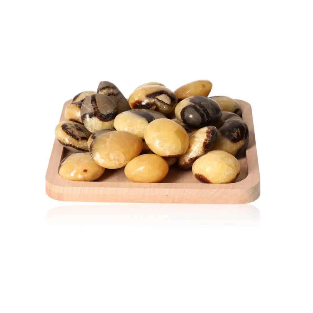 Septarian Palm Stone XL stones on wooden tray, showcasing unique "Dragon Stone" appearance and spiritual allure.