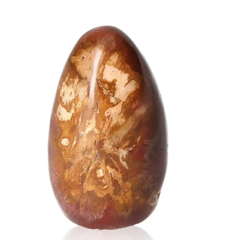 Petrified wood free form stone with rich earthy colors, symbolizing grounding, ancient wisdom, and promoting stability and balance.