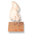 Decorative honey calcite gemstone on wooden stand, symbolizing confidence and clarity, perfect for enhancing focus and motivation.