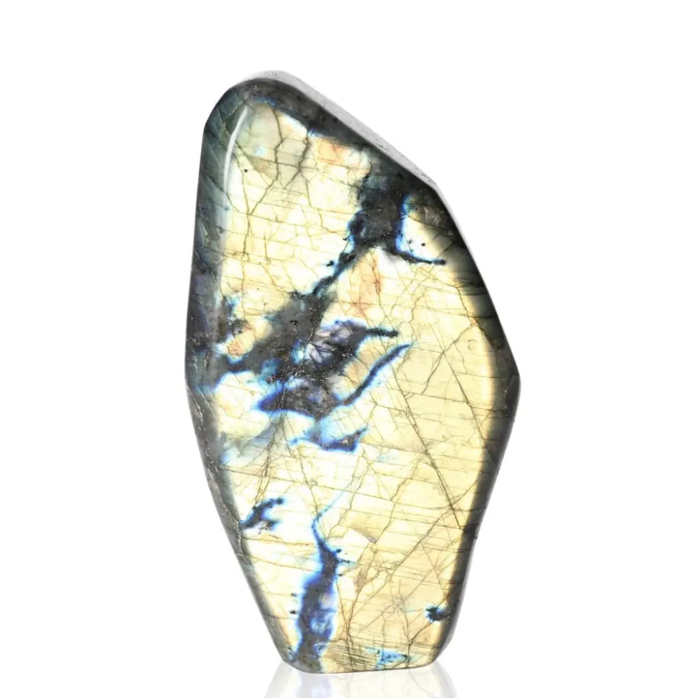 Polished Cut Base Labradorite with enchanting color flashes by Sylvia Crystals