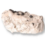 Sphalerite with Calcite crystal, embodying spiritual elegance and grounding energy from Sylvia Crystals, perfect for harmonizing the soul.