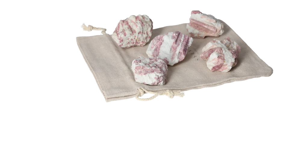 orbitvu|type:image2d