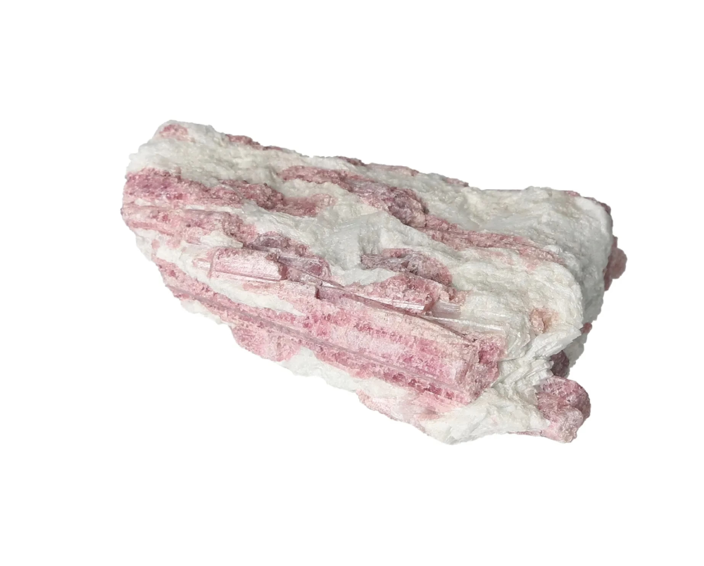 orbitvu|type:image2d