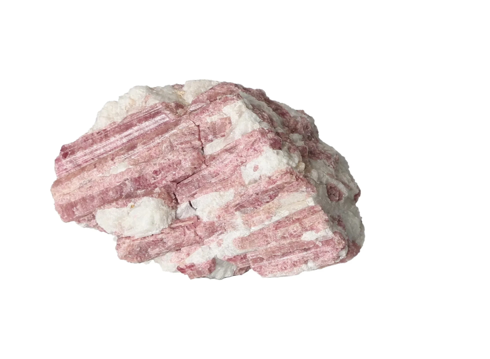 orbitvu|type:image2d