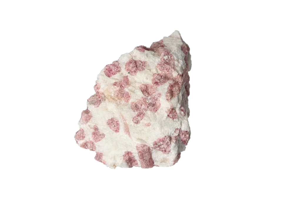 orbitvu|type:image2d