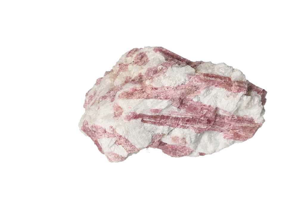 orbitvu|type:image2d