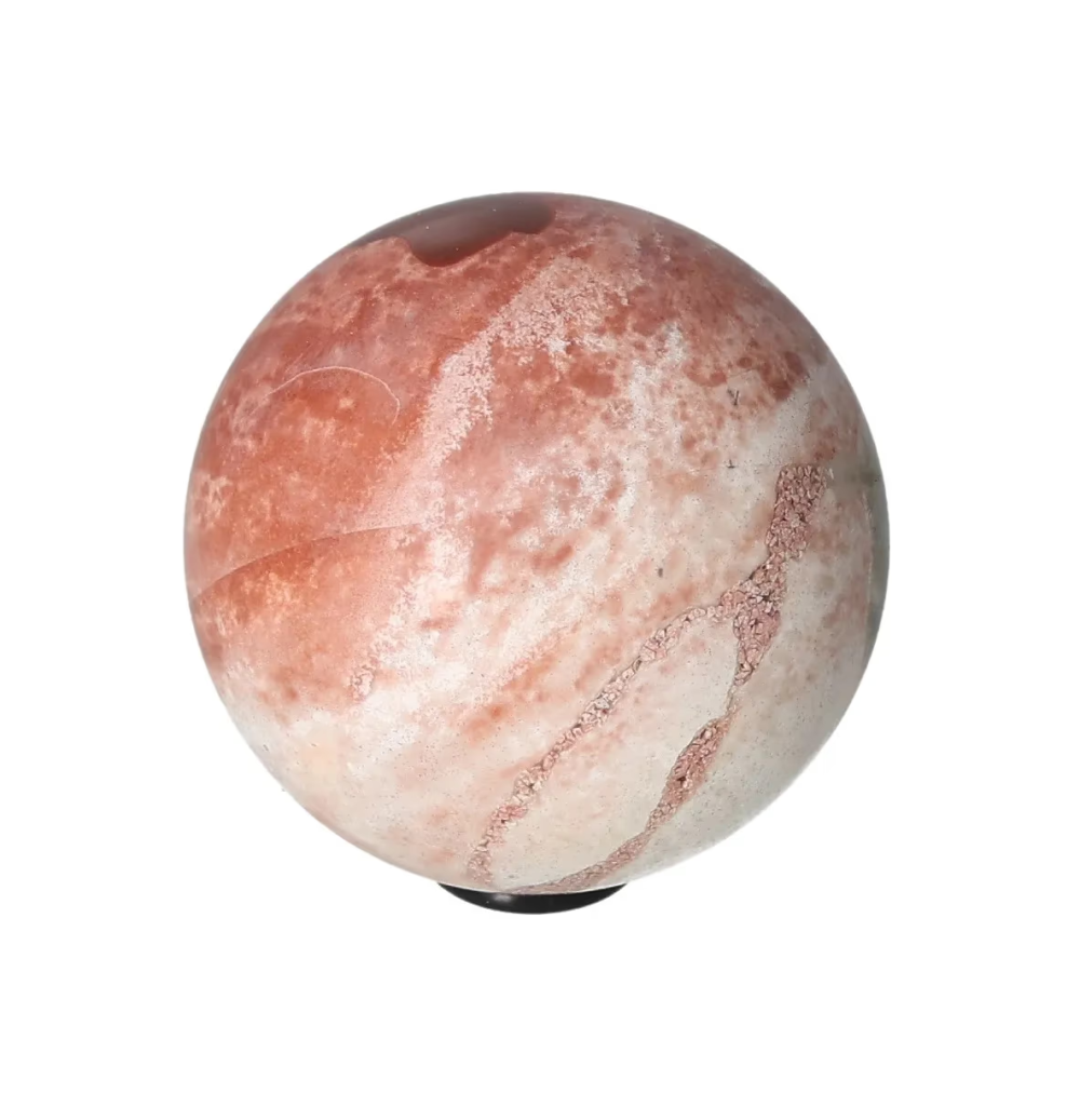 orbitvu|type:image2d